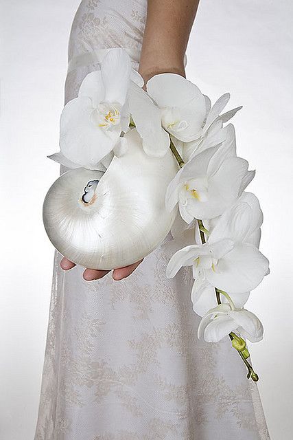 Shell Bouquet, Orchid Bouquet, Beach Wedding Flowers, Destination Bride, Destination Wedding Locations, Seaside Wedding, Wedding Site, Space Wedding, Nautical Wedding