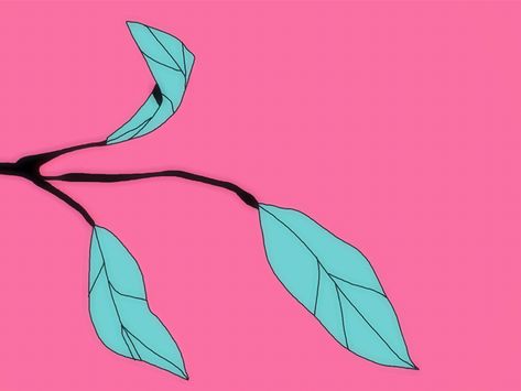 Flower Growing Animation, Flower Bloom Animation, Leaf Animation, Leaves Animation, Plant Animation, Train Animation, Flowers Animation, Flower Animation, Nature Animation