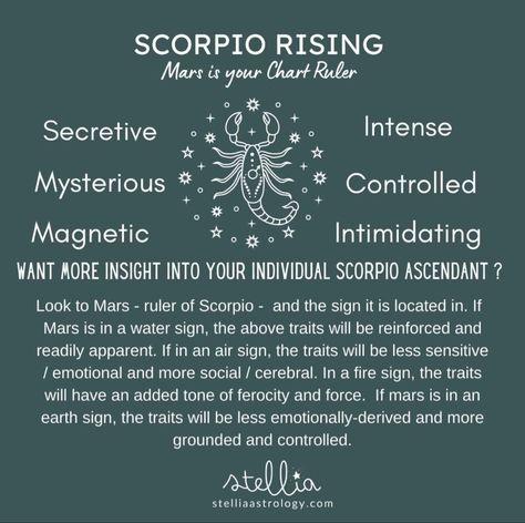 Birth Facts, Pagan Life, Spiritual Mind, Scorpio Ascendant, Zodiac Sagittarius Facts, Zodiac Quotes Scorpio, Scorpio Rising, Astrology Scorpio, Chart Astrology