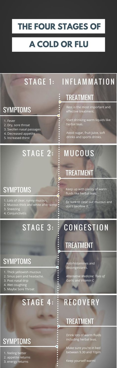 Stages Of A Cold, Best Cough Remedy, Cold And Cough Remedies, Sick Remedies, Respiratory Infection, Natural Cough Remedies, Cough Remedies, Cold Remedies, Life Cycle