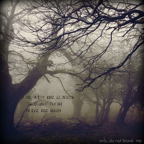 A quote from one of the most moving, disturbing, and human classics written.  Wuthering Heights. Last Ride, Foggy Forest, Wuthering Heights, The Fog, On The Ground, Dark Forest, Enchanted Forest, Dark Aesthetic, Dark Side