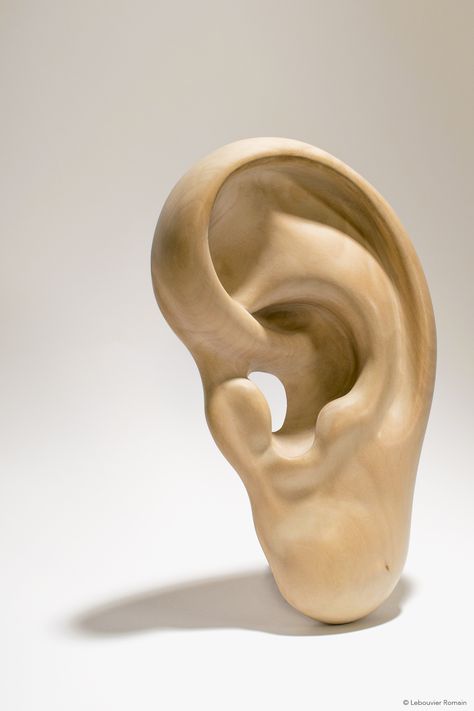 r2_Art Sculpture - Giant Ear Ear Sculpture, Deaf Art, Human Body Drawing, Hallway Art, Vbs Themes, Greek Sculpture, Sculptural Object, Piercing Shop, Body Drawing