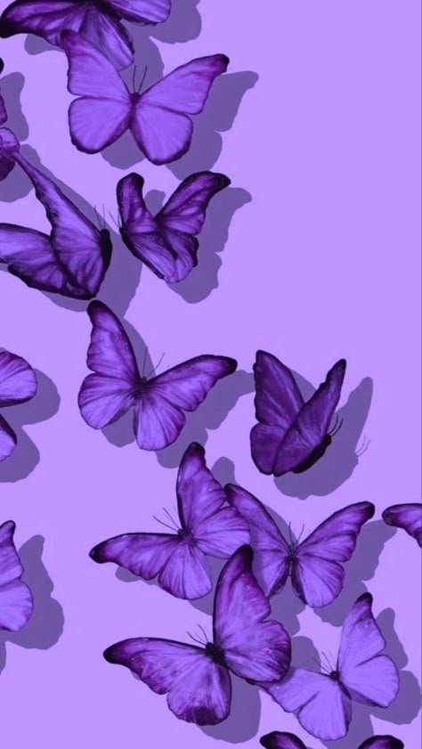 Collage Backgrounds, Butterfly Wallpapers, Purple Aesthetics, Themed Wallpapers, Black And Purple Wallpaper, Purple Butterfly Wallpaper, Purple Aesthetic Background, Dark Purple Wallpaper, Phone Wallpaper Boho