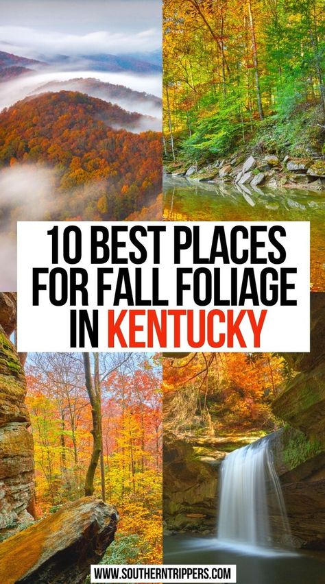 Best Places for Fall Foliage In Kentucky Texas Scenery, Things To Do In Fall, Kentucky Vacation, Kentucky Travel, Fall Vacation, Fall Road Trip, Fall Vacations, Visit Usa, Travel Bucket List Usa