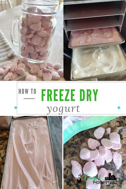 Yogurt Covered Fruit, Diy Frozen Yogurt, Yogurt Covered Blueberries, Blueberry Bites, Frozen Yogurt Blueberries, Freeze Dried Food Storage, Frozen Yogurt Bites, Yogurt Melts, Best Freeze Dried Food