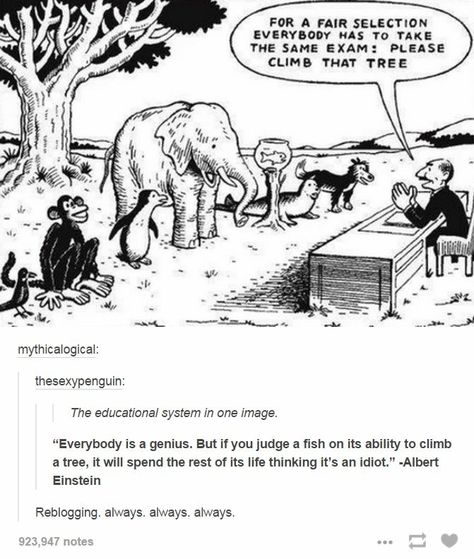 For a 'fair' selection everybody has to take the same exam: please climb that tree. #monkey #penguin #elephant #fish Inspirerende Ord, Einstein Quotes, Education System, Education Quotes, Albert Einstein, Reality Quotes, Wise Quotes, Satire, Great Quotes