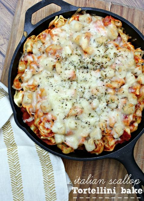 This Italian Scallop Tortellini Bake is a delicious splurge for that special meal; but, still lets you stay within your budget. Easy to make and delicious. Tortellini Bake, Tortellini Recipes, Scallop Recipes, Tomato Sauce Recipe, Entree Recipes, Asparagus Recipe, Family Favorite Meals, Tortellini, Toscana