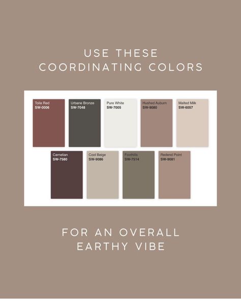 Earthy Interior Color Palette, Earthy Color Schemes Colour Palettes, Powder Room Color Palette, Sw Dusted Truffle, Modern Tuscan Color Palette, Accent Wall In Open Concept Living Room, Home Office Color Scheme Cozy, Cohesive Paint Colors Home, Classy Paint Colors