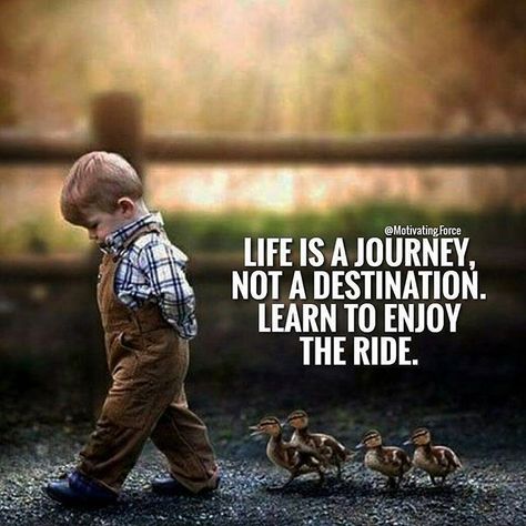 Daily Quotes Positive, Best Positive Quotes, Last Ride, Journey Quotes, Quotes Deep Meaningful, Life Is A Journey, Leadership Quotes, Lesson Quotes, Good Life Quotes