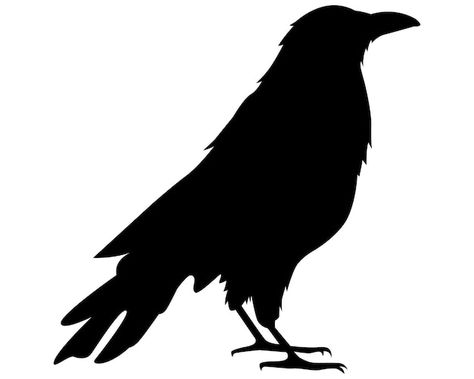 Vector black crow silhouette | Premium Vector #Freepik #vector #raven #crow #bird-illustration #tattoo-art Raven Template Free Printable, Crow Silhouette Free Printable, Ravens Silhouette, Raven Art Drawing, Crow Template, Raven Template, Crow Outline, Silhouette Art Ideas, Crow Stencil