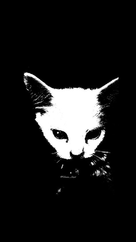 Please Support my posts :). I'm working to be a photographer and vlogger. Follow me on instagram @hanan_seyal and subscribe my YouTube channel memesbyhanan and gaming by hanan. #cats Black Paint Aesthetic, Cat Dark Wallpaper, Unsettling Wallpaper, Cat Ear Wallpaper, Halloween Wallpaper Black And White, Black And White Wallpaper Desktop, Creepy Wallpaper Dark Horror, Dark Cat Wallpaper, Black Poster Prints