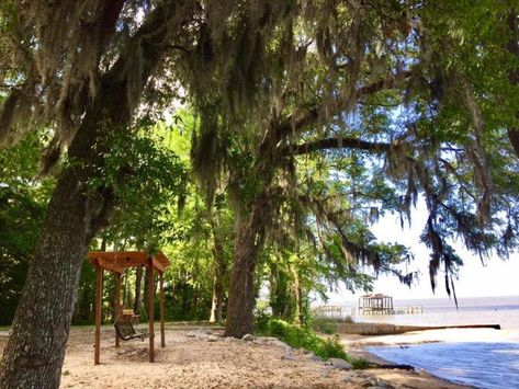 Daphne Alabama, Top Vacation Destinations, Alabama Beaches, Spring Getaway, Beautiful Town, Park Pictures, Scenic Byway, Orange Beach, Road Trip Fun