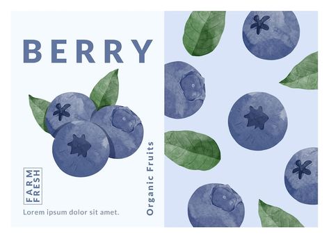 Premium Vector | Blue berry packaging design templates watercolour style vector illustration Berry Packaging, Berry Tea, Packaging Template Design, Food Tags, Blue Berry, Organic Fruit, Tea Packaging, Tag Design, Sweet Tea