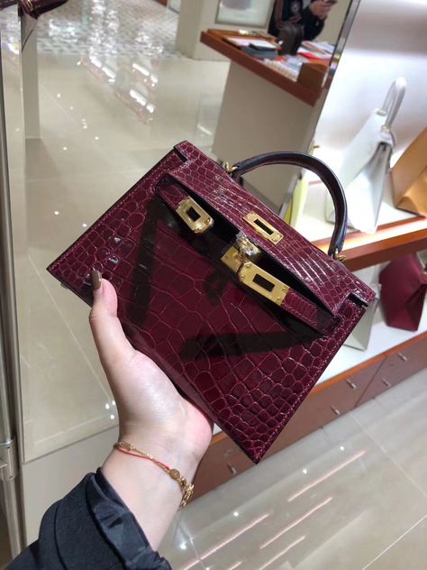 Hermes Crocodile Bag, Hermes Ostrich, Hermes Crocodile, Kelly Hermes, Hermes Purse, Communication Center, Hermes Picotin, Lizard Skin, Luxury Bags Collection