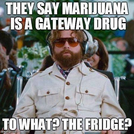 Haha weed is a gateway drug Comebacks Humor, Zach Galifianakis, Hilarious Stuff, Totally Me, Funny Captions, 웃긴 사진, Clipuri Video, Memes Humor, Windows Phone