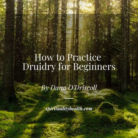 Druid Altar Ideas, Druidry For Beginners, Druidism Spirituality, Druidry Spirituality, Druid Beliefs, Druids Aesthetic, Druid Calendar, Druidry Aesthetic, Neo Druidism