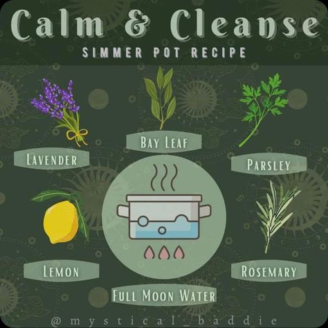 Home Cleanse Simmer Pot, Simmer Pot Recipes For Abundance, Simmer Pots For Cleansing, Ways To Refresh Yourself, Simmer Pot Recipes Healing, Simmer Pot For Protection, New Home Simmer Pot, Cleansing Simmer Pot Recipes, Healing Simmer Pot