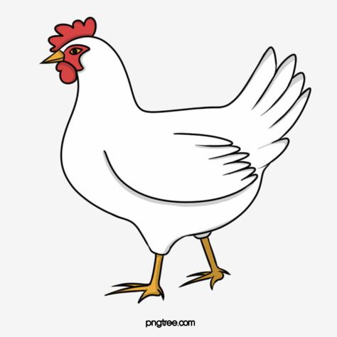 Chicken Clipart Black And White, Chicken Drawing Easy, Chicken Drawings, Chicken Cartoon, Chicken Clipart, Painted Chicken, Chicken Animal, Fur Background, Chicken Vector