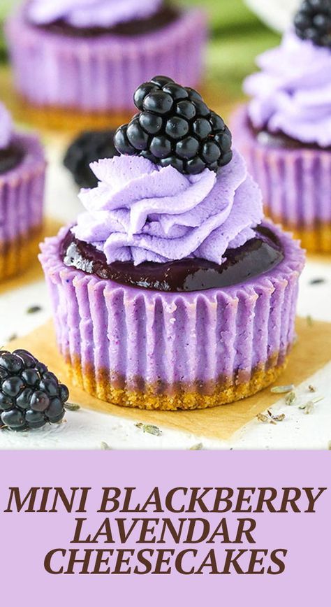 Blackberry Topping, Lavender Cheesecake, Blackberry Lavender, Dessert Oreo, Lavender Recipes, Mini Cheesecake Recipes, Oreo Dessert, Mini Cheesecakes, Food Cakes