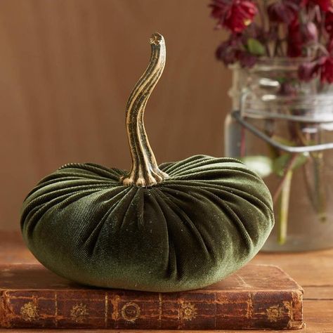 PRICES MAY VARY. 【Quantity】: Package includes 1/4 Pcs small velvet pumpkins in pink, green, blue, gold, orange. These velvet pumpkins add a subtle elegance and sophistication, allowing you to reach for them to decorate your home again and again. Use them to create a warm atmosphere and bring some soft fall flair to your space. 【Size】: Each artificial pumpkin measures about 6" wide and 6" tall. Small and cute, these fall pumpkin decorations make a great statement in table centerpieces, tiered tra Green Pumpkins, Pumpkins Decor, Halloween Table Centerpieces, Halloween Fest, Fake Pumpkins, Pumpkin Ornament, Artificial Pumpkins, Foam Pumpkins, Zucca Halloween