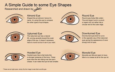 Protruding Eyes, Wide Set Eyes, Eye Parts, Almond Shaped Eyes, Deep Set Eyes, Almond Eyes, C Curl, Eyes Drawing, Types Of Eyes