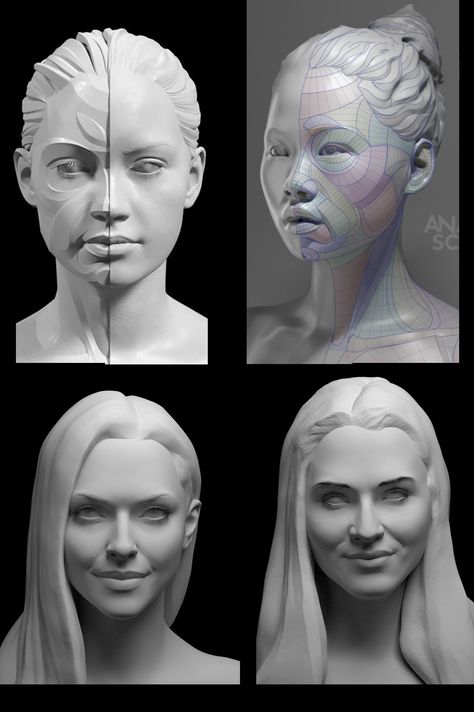 female face Female Face Planes, Female Face Structure, Female Face Anatomy, Female Head Anatomy, Female Face Reference, Human Anatomy Female, Planes Of The Face, Human Anatomy For Artists, Face Sculpting