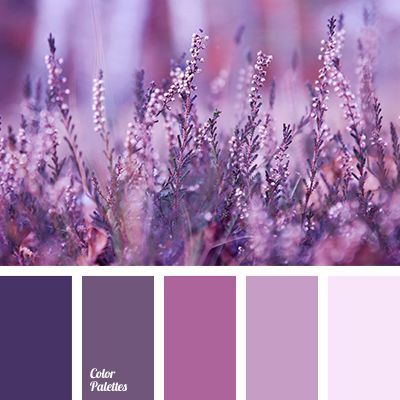 colour combination, colour combination in interior, dark purple, light purple, monochrome colour palette, monochrome lilac colour… Flat Bedroom, In Color Balance, Color Concept, Color Palette Ideas, Purple Color Palettes, Palette Ideas, Monochrome Color, Color Palate, Design Seeds