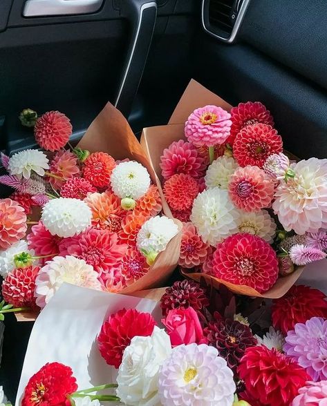 Dahlia Society | Dahlias bouquet 😍😍🌺 . . Credit : @floralfulflowers . . . #dahlia #dahlias #dahliagarden #dahliaseason #dahliaflower #dahliaflowers... | Instagram Dahlia Flower Bridal Bouquet, Wedding Bouquet With Dahlias, Dahlia Flower Aesthetic, Dahlia Flower Bouquet, Dahlia Arrangements, Daliah Flower, Dahlias Bouquet, Dahlia Society, Flower Outfits