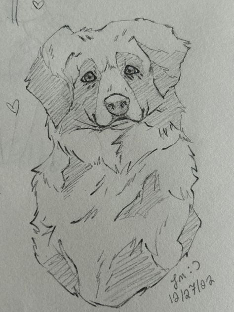 Australian Shepherd Sketch, Australian Shepherd Outline, Australian Shepherd Drawing, Australian Shepherd Art, Australian Puppies, Shepherd Drawing, Busy Drawing, Pitbull Drawing, Cute Australian Animals