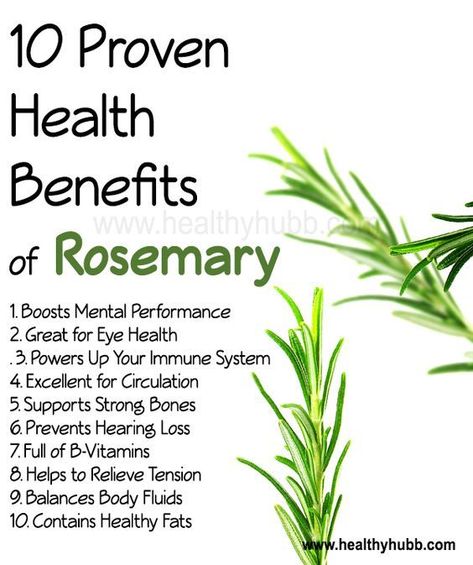 10 Proven Health Benefits of Rosemary Herb Benefits, Benefits Of Rosemary, Tomato Nutrition, Matcha Benefits, Lemon Benefits, Coconut Health Benefits, Stomach Ulcers, Natural Antibiotics, Benefits Of Coconut Oil