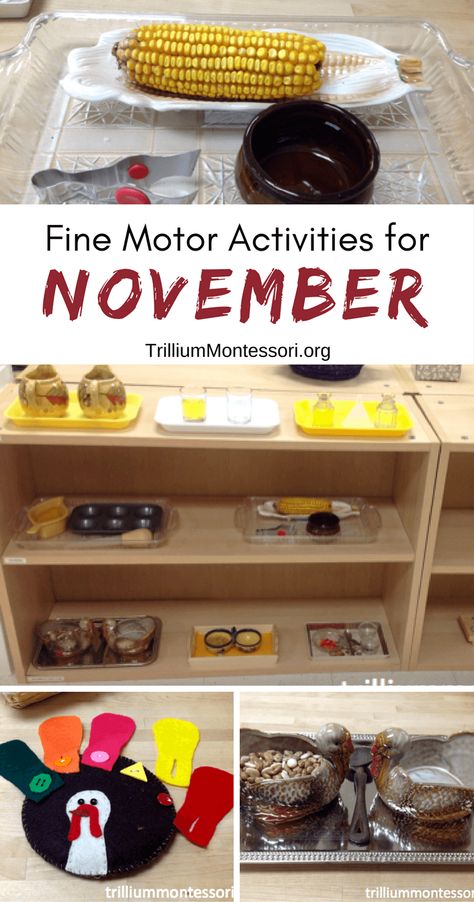 Preschool and fine motor activities for November and fall theme November Crafts Preschool, Preschool November, November Lesson Plans, Montessori Activities Preschool, Turkey Baster, November Activities, November Crafts, Montessori Lessons, Practical Life Activities