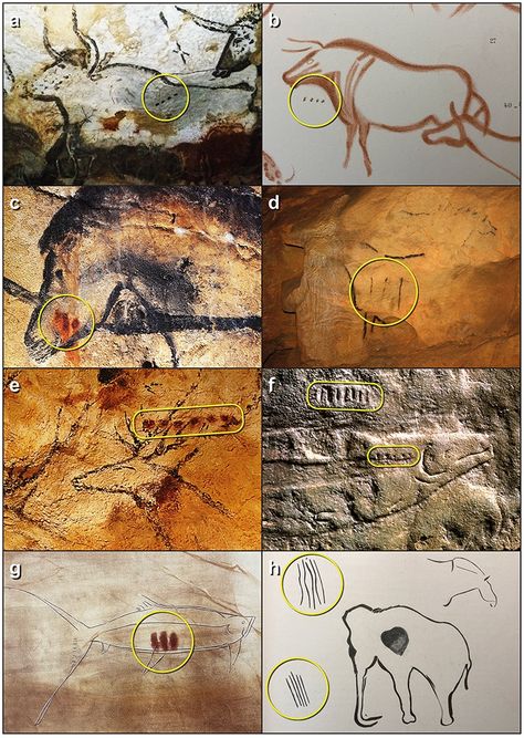 London Furniture Coservator Discovers Paleolithic Writing System Cave Drawing, Cave Painting, Cave Drawings, Nazca Lines, Wildlife Biologist, Early Humans, Hunter Gatherer, Archaeology News, Lunar Calendar