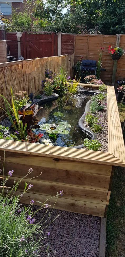 Garden Bed Water Feature, Garden Design With Pond, Raised Water Features In The Garden, Garden Ground Ideas, Above Ground Turtle Pond, Raised Bed Pond, Flower Bed Pond Ideas, Raised Bed Water Feature, Outside Fish Pond Ideas