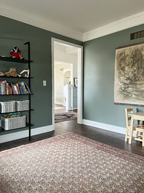 Dark Floor Green Wall, Dark Floors Green Walls, Dark Wood Floors Green Walls, Paint Colors Dark Wood Floors, Green Entryway Walls, Wall Colors For Dark Wood Floors, Accent Wall Hallway, Salon Colors, Dark Laminate Floors