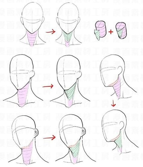 Como hacer la sombra en el cuello Neck Drawing, Head Anatomy, Drawing Heads, Manga Drawing Tutorials, Human Figure Drawing, 인물 드로잉, Gambar Figur, Different Angles, Anatomy Drawing