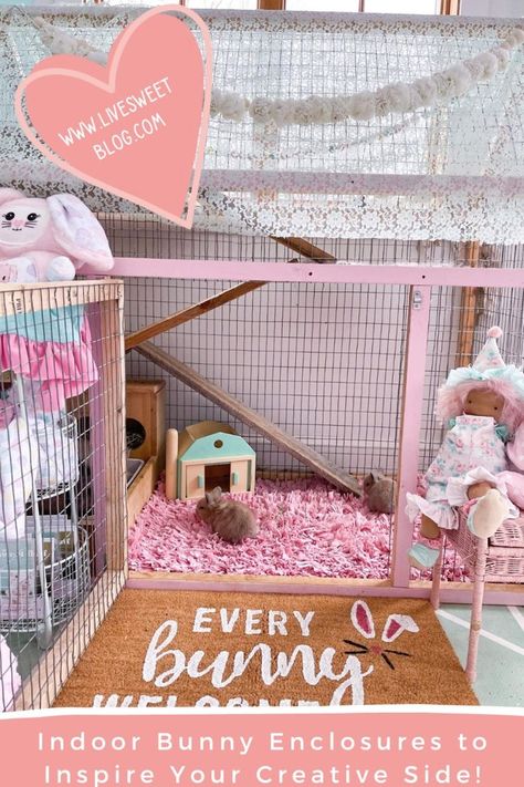 Bunny Enclosure Indoor, Bunny Enclosure, Indoor Bunny, Classroom Pets, Enclosure Ideas, Bunny Party, Bunny House, Siding