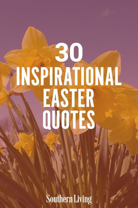 Whether you prefer lengthy and intense Easter quotes or something more simple and direct, there's no doubt there's something in this list for everyone. Happy Easter, y'all. #dessertrecipes #easterfood #easterrecipes #eastertreats #easterideas #southernliving Easter Inspirational Quotes Faith, Easter Sunday Quote, Happy Easter Quotes Inspirational Faith, Happy Easter Quotes Inspirational, Easter Quotes Inspirational, Easter Sunday Quotes, Palm Sunday Quotes, Easter Inspirational Quotes, Quotes About Hope