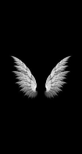 Dark Angel Wings, 4k Wallpaper Android, Cool Black Wallpaper, Wallpaper Gelap, Whatsapp Background, Wings Wallpaper, Wallpaper Hitam, Angel Wallpaper, तितली वॉलपेपर