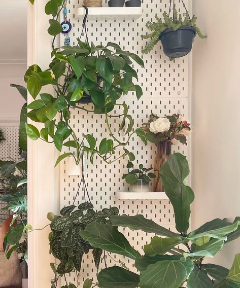 Ikea Plant Wall, Plants On Wall, Ikea Flowers, Skådis Ikea, Ikea Plant, Ikea Wall Shelves, Ikea Pegboard, Ikea Plants, Cozy Small Bedrooms