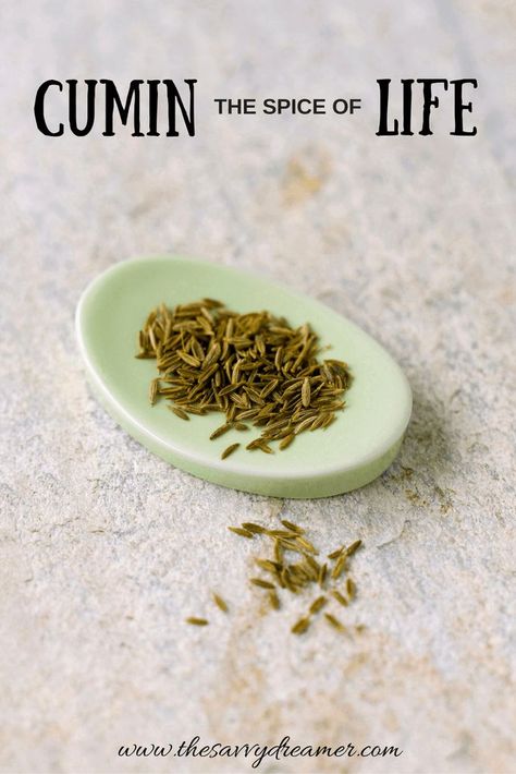 How you can use cumin in cooking! #cumin #spices #homecooking #health #foodblog #thesavvydreamer Cumin Benefits, Healthy Home Cooked Meals, Cumin Recipes, Hard Shell Tacos, Cumin Spice, Spiced Rice, Holistic Recipes, Home Cooked Meals, Best Chili Recipe