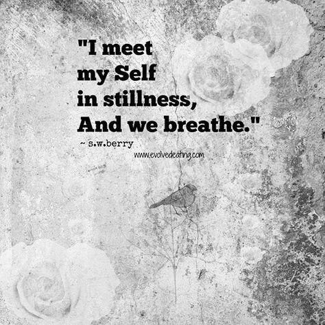 Yoga Quotes, Mindfulness Meditation, Zen Stories, Be Still Quotes, Mindful Moments, A Course In Miracles, Pose Yoga, Meditation Quotes, Empath