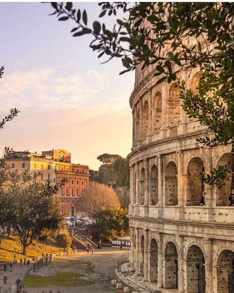 Roma Italy Aesthetic, Overseas Aesthetic, Italy Colloseum, Rim Italy, Colosseum Aesthetic, Rome Colloseum, Italy Rome Aesthetic, Rome Italy Aesthetic, Rome Aesthetic