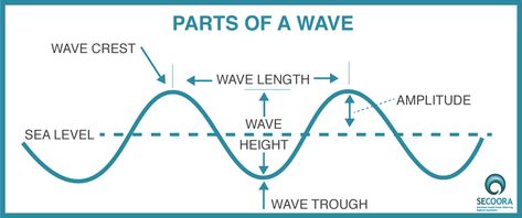 This graphic includes the parts of a transverse wave. #waves #transversewaves #middleschoolscience Transverse Wave, Waves Science, Waves Physics Notes, Parts Of A Wave, Wave Equation, Ultrasound Physics, Longitudinal Waves Physics, Longitudinal Wave, Science Revision