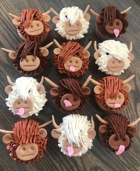 Highland Cattle Cupcakes, Hiland Cow Cupcakes, Highland Cow Cupcakes Tutorial, Cow Decorated Cupcakes, Highlander Cow Cupcakes, Hyland Cow Cupcakes, Highland Cow Cupcakes Diy, Buffalo Cupcakes, Brown Cow Cake