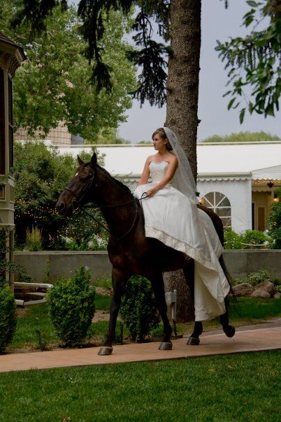 This is my dream... to ride down the aisle at my wedding on my own horse! Horse At Wedding The Bride, Bride Riding Horse, Horse Wedding Entrance, Riding Horse Down The Aisle, Wedding Ideas Horses, Horses At Weddings, Bride Riding Horse Down Aisle, Horse At Wedding, Horse In Wedding