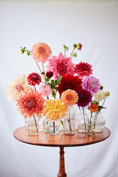 Our Most Magnificent Flower Arranging Secrets Flowers In Vases, Deco Floral, Flower Farm, Flower Beauty, Ikebana, Summer Flowers, Cut Flowers, Decoration Table, Love Flowers