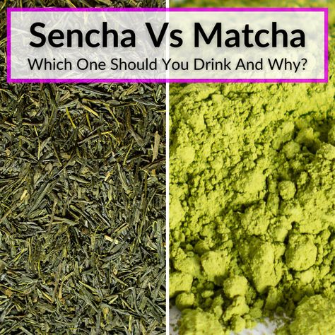 When you compare sencha vs matcha, the obvious jumps out right away: they look completely different. They are both green teas, yet very different in the way... Tea Guide, Green Tea Matcha, Sencha Tea, Different Types Of Tea, Matcha Tea Powder, Green Teas, Tea Varieties, Creamy Smoothies, Matcha Green Tea Powder