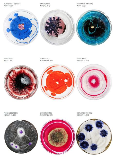 Turns out the petri plate makes for a very nice canvas. Bacteria Petri Dish, Microscope Art, Cells Art, Petri Dish Art, Klari Reis, Dish Art, Petri Dishes, Biology Art, Textil Design