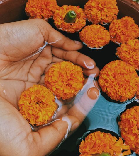 #Aesthetic #pictures #marigolds #flowers #hands Marigold Aesthetic Wallpaper, Aesthetic Marigold, Aesthetic Flower Tattoo, Nails Acrylic Flowers, Winter Flowering Plants, Nail Flowers, Winter Gardening, Wallpaper Flower, Flower Nail Designs