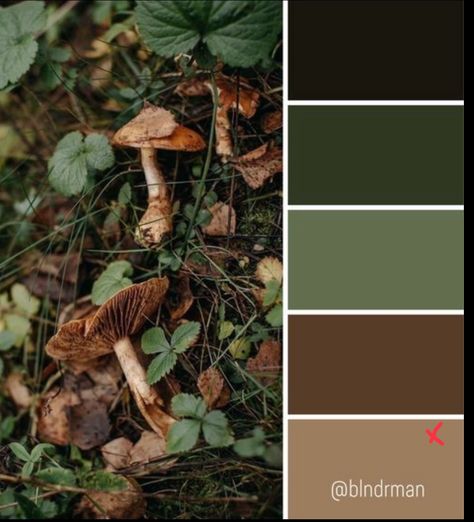 Forest Green Decor Bedroom, Dark Forest Green Color Palette, Hobbit Room Aesthetic, Colour Palette Dark Green, Cottagecore Pallete Color, Green And Brown Mood Board, Woodsy Color Palette, Dark Cottagecore Color Palette, Dark Academia Color Palette Green